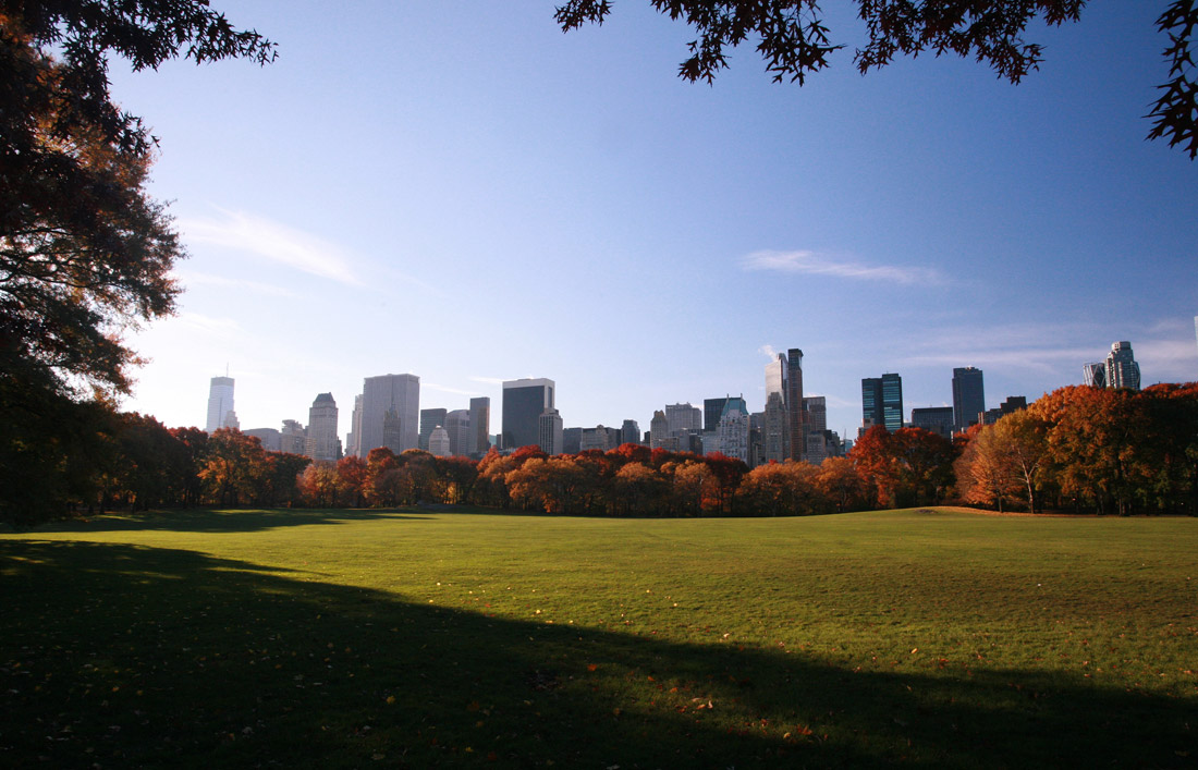 avenue skyline from central park